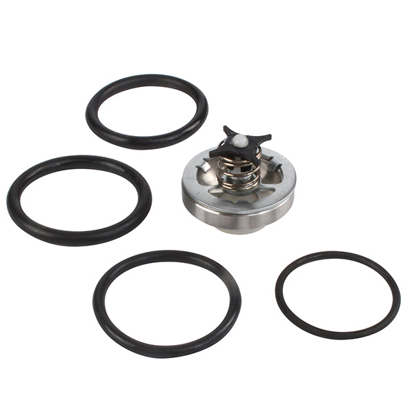Inlet Valve Kit for Paint Crew