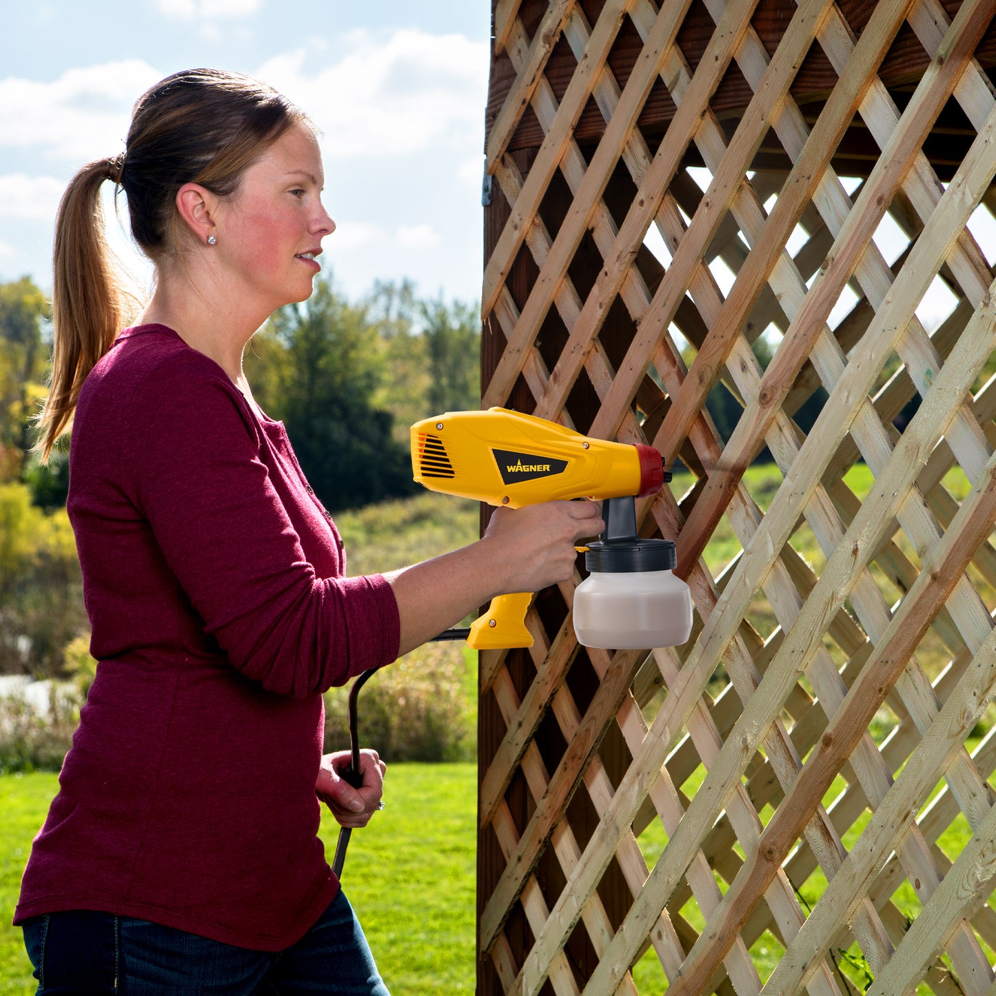 Control Spray Lite