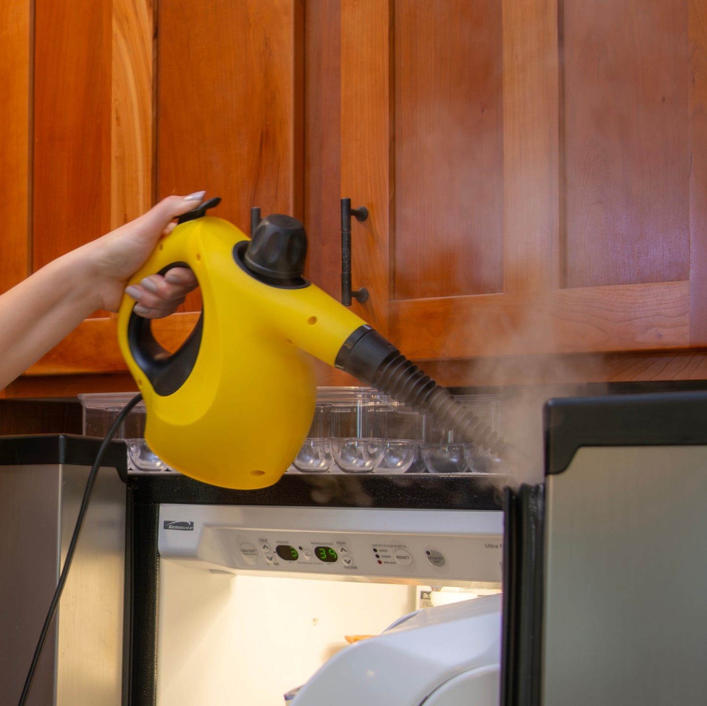 505e Handheld Steamer