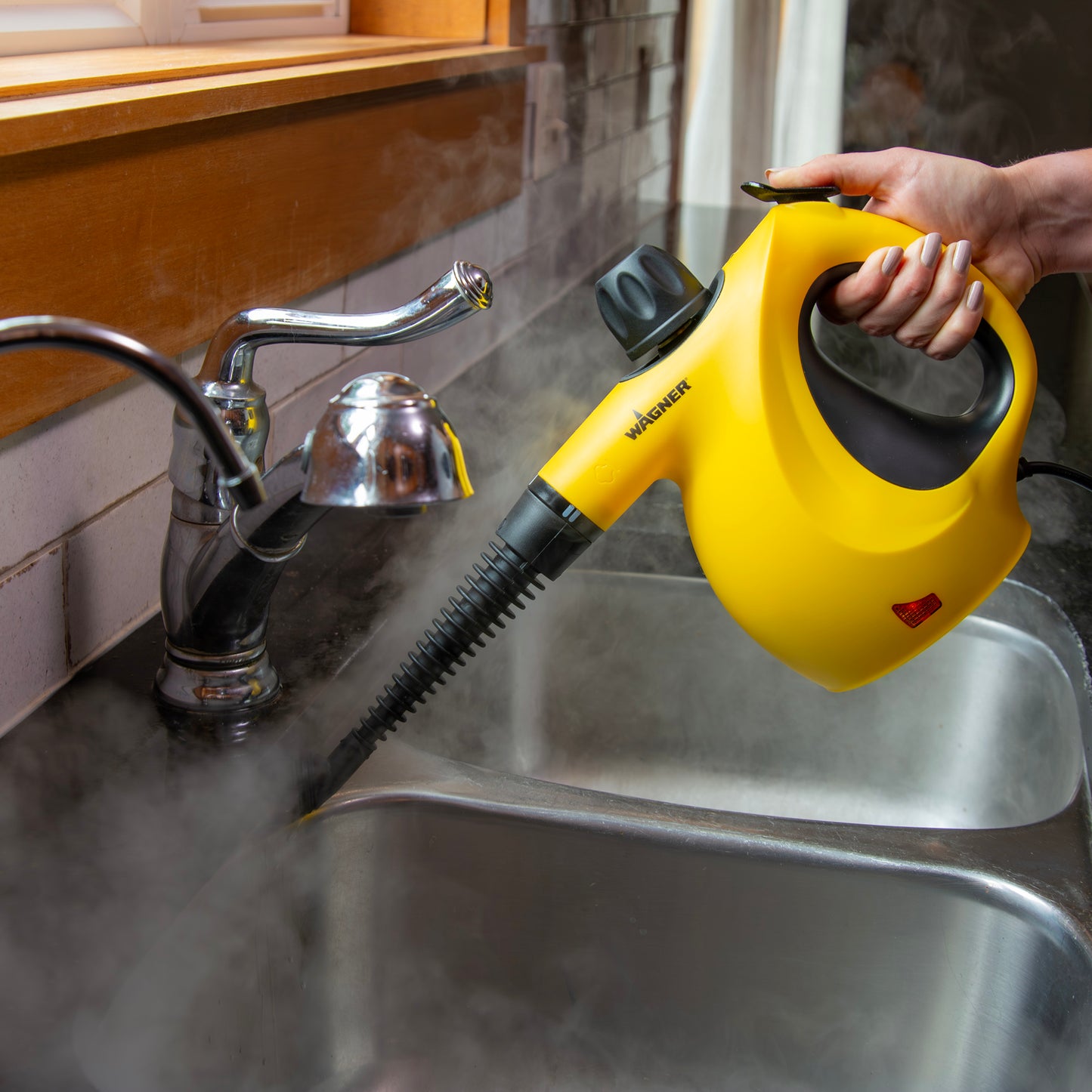 505e Handheld Steamer