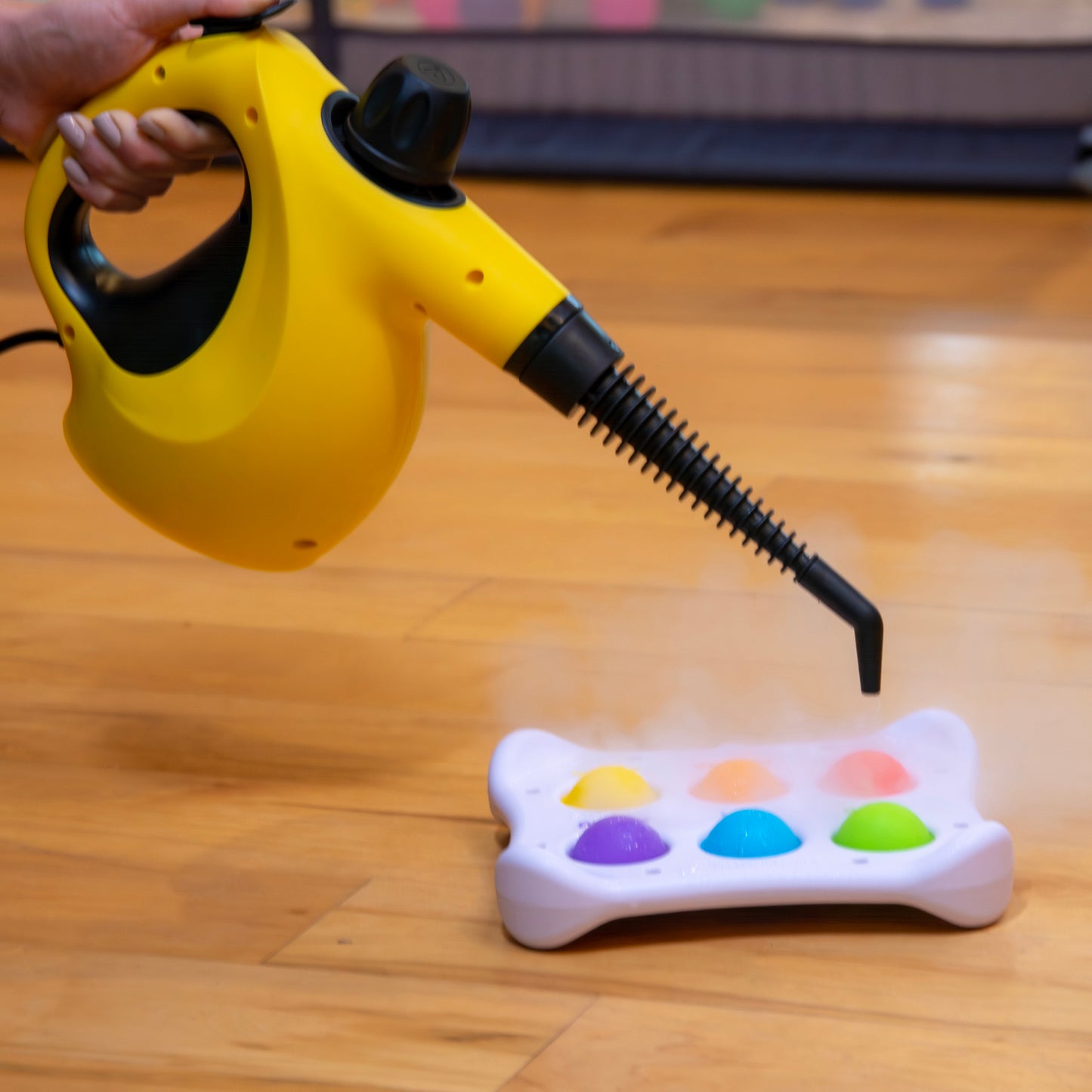 505e Handheld Steamer