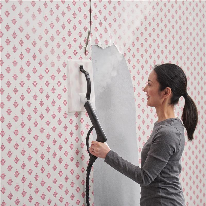 Steam Plate Assembly